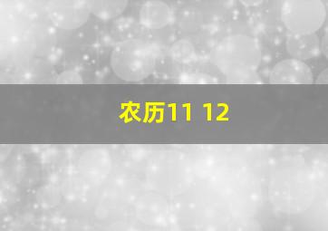 农历11 12